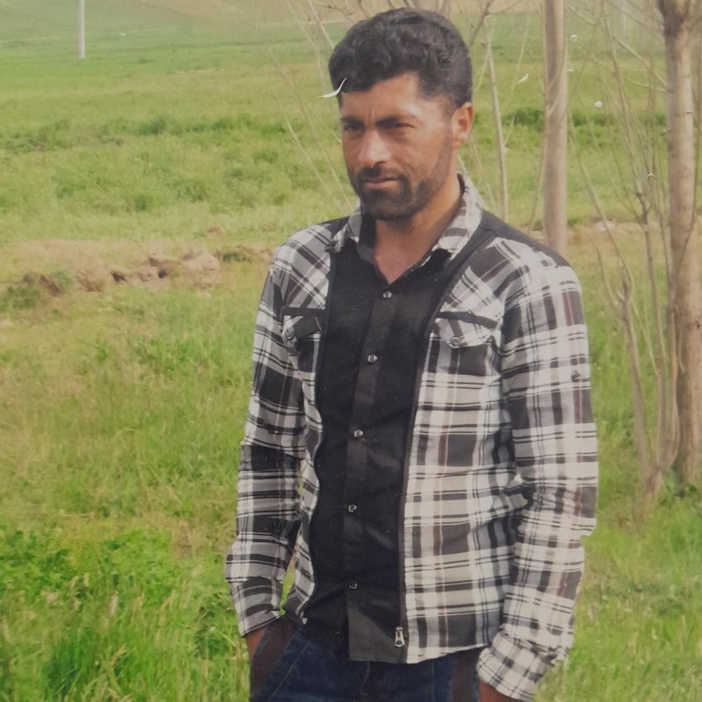 شمیل علیزاده