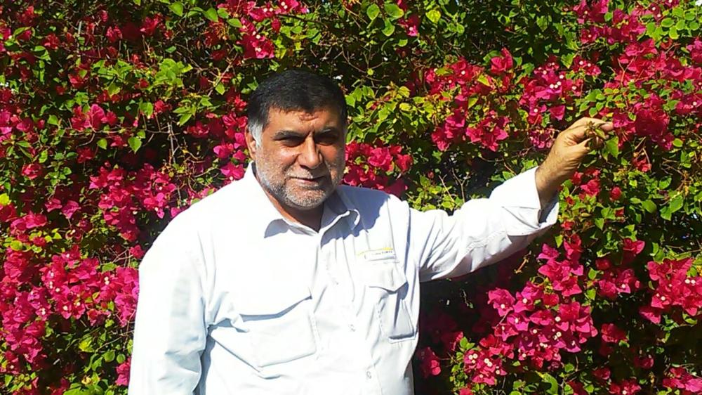 میکائیل عرب