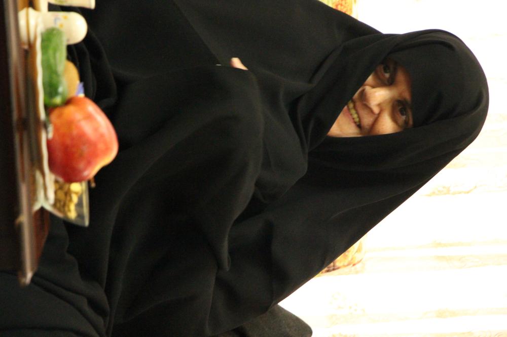 شمسی میرزاده مدرسی