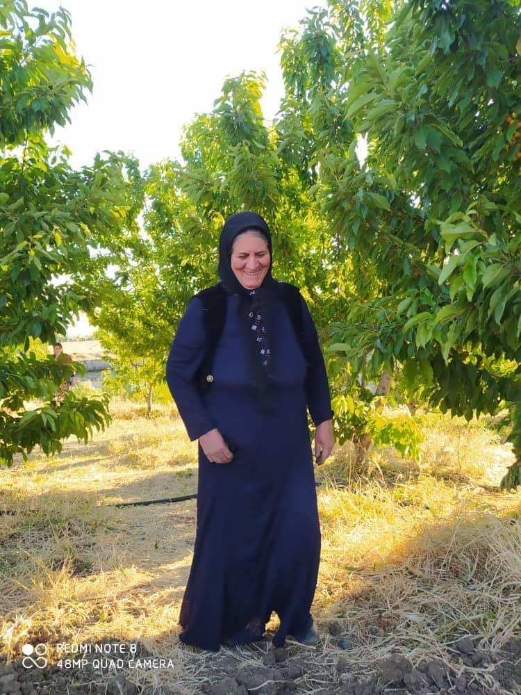 ایران احمدی