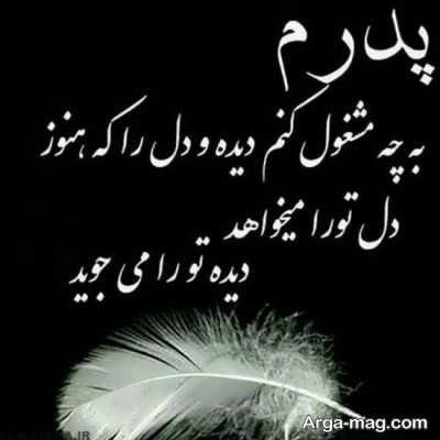سید شریف فاضلی