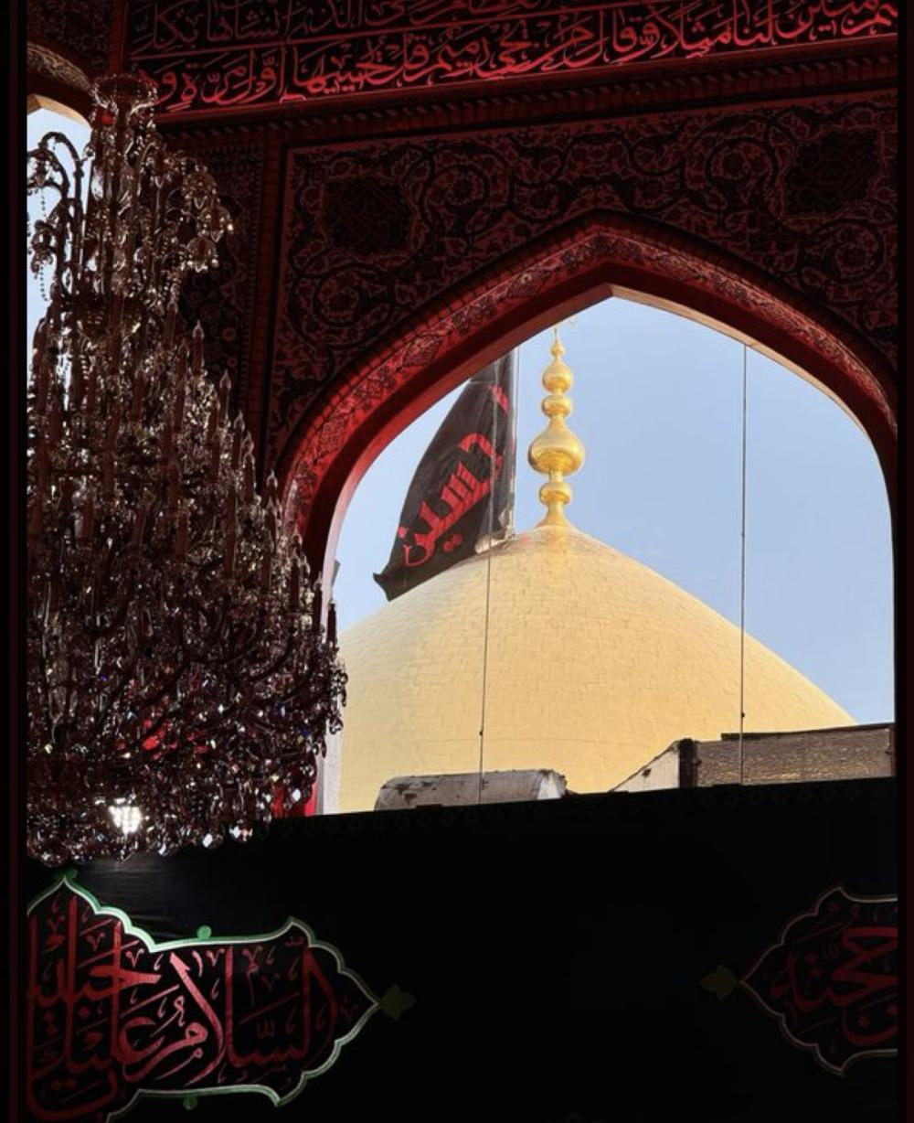 محمود فریزادفر