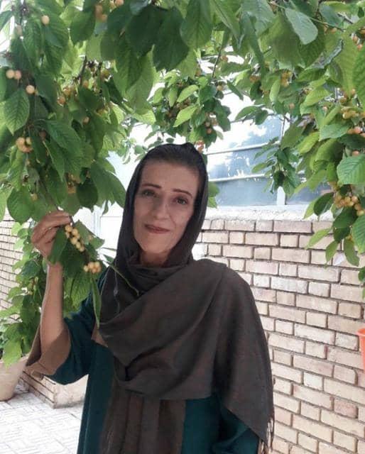 اشرف آقاخانی