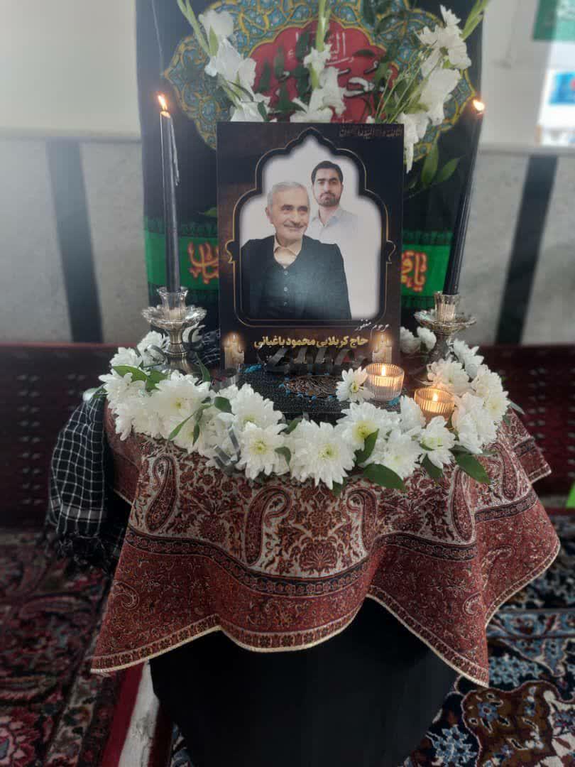 محمود باغبانی جویباری