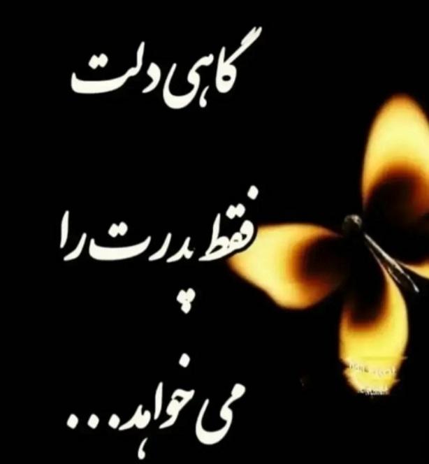 حسین حیدرزاده