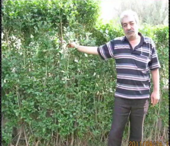 مرحوم ناصر حیدری