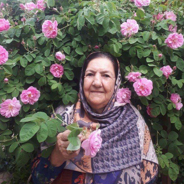 پروین سادات سجادی