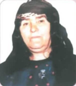 حاجیه کفش طلا مردانی