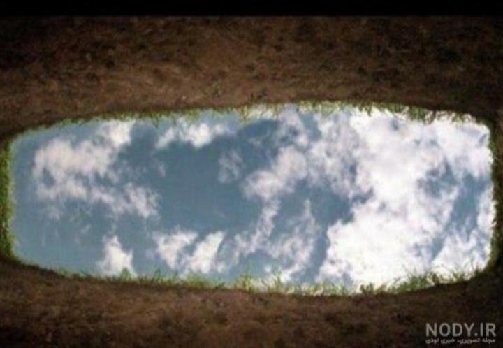 فریبا زارعی