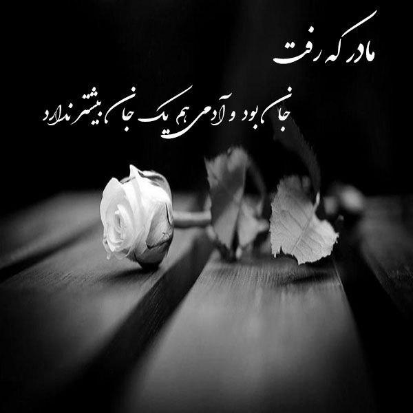 سمناز زینل پور