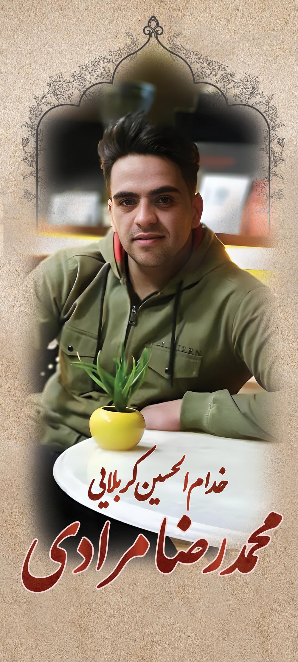 محمد رضا مرادی