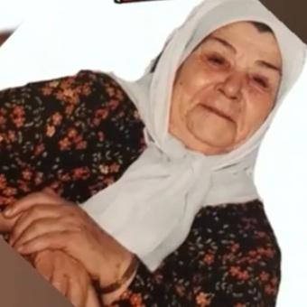 حاجیه خانم هما معماری