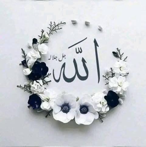 مهندس ملیحه دادخواه