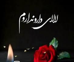 محمد رضا صفری ازنی