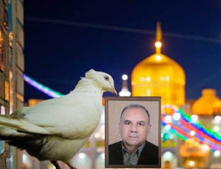 حاج آقا محمد امیرزاده هروی