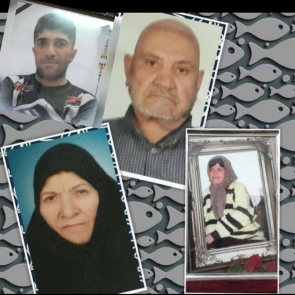 سلطنت ومحمد علی مقیسه