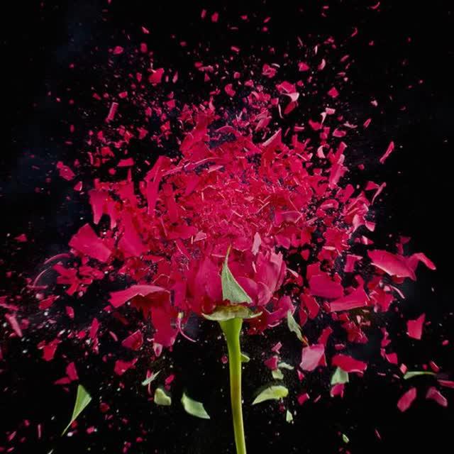 اکرم رضایی عسگر