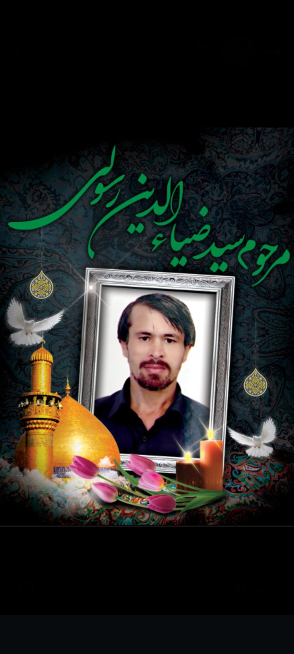 سید ضیاءالدین رسولی