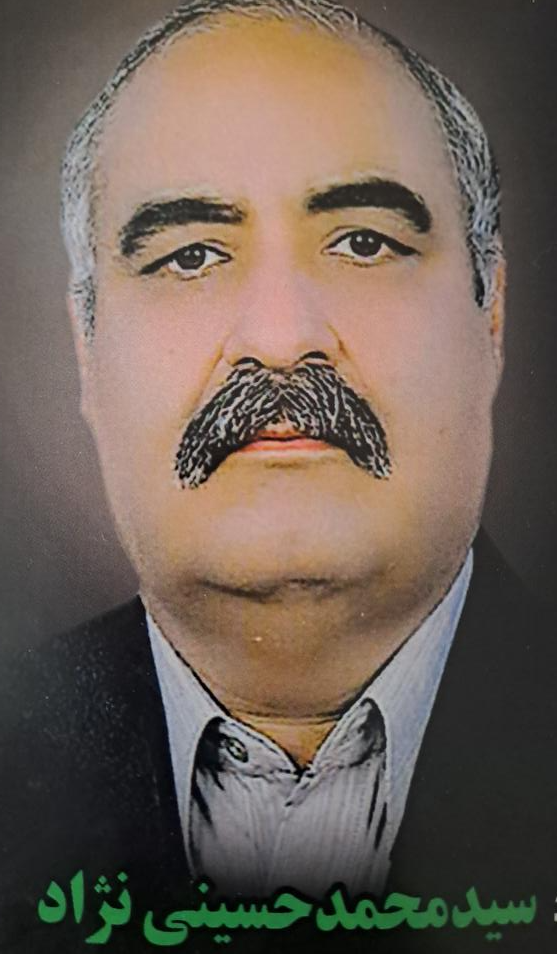 سیدمحمد حسینی نژاد