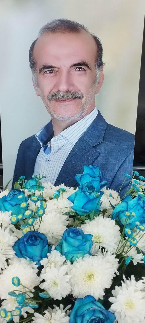 مرتضی شبکی سازی