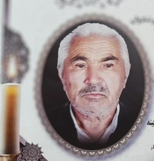 زیدالله شادی