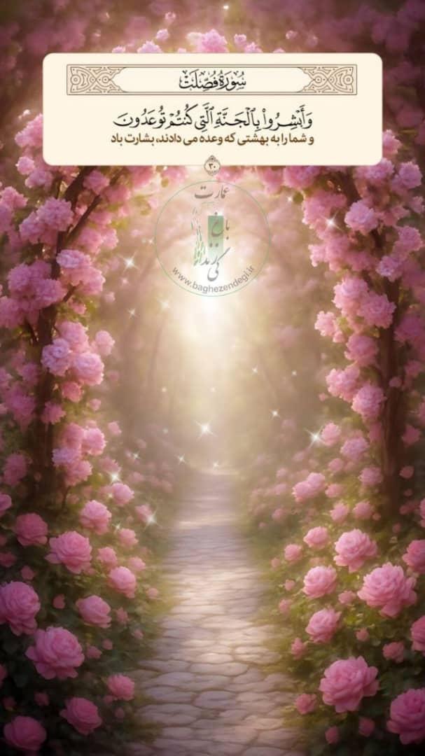 محمد حسن نبی پور