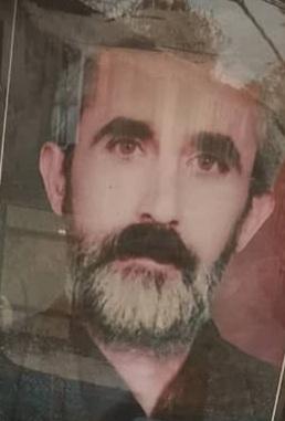 محمود رزم پوش