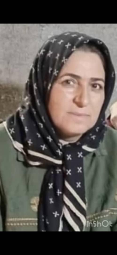 فرزام حمیدی