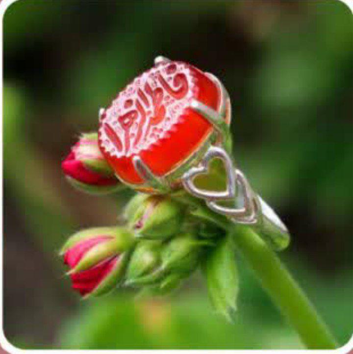 مادران‌ آسمانیِ اعضای گروه