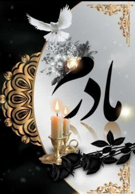 شمس السادات سید محسن