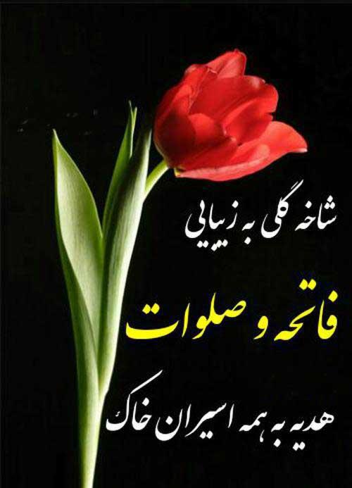 گل زینب بامیری