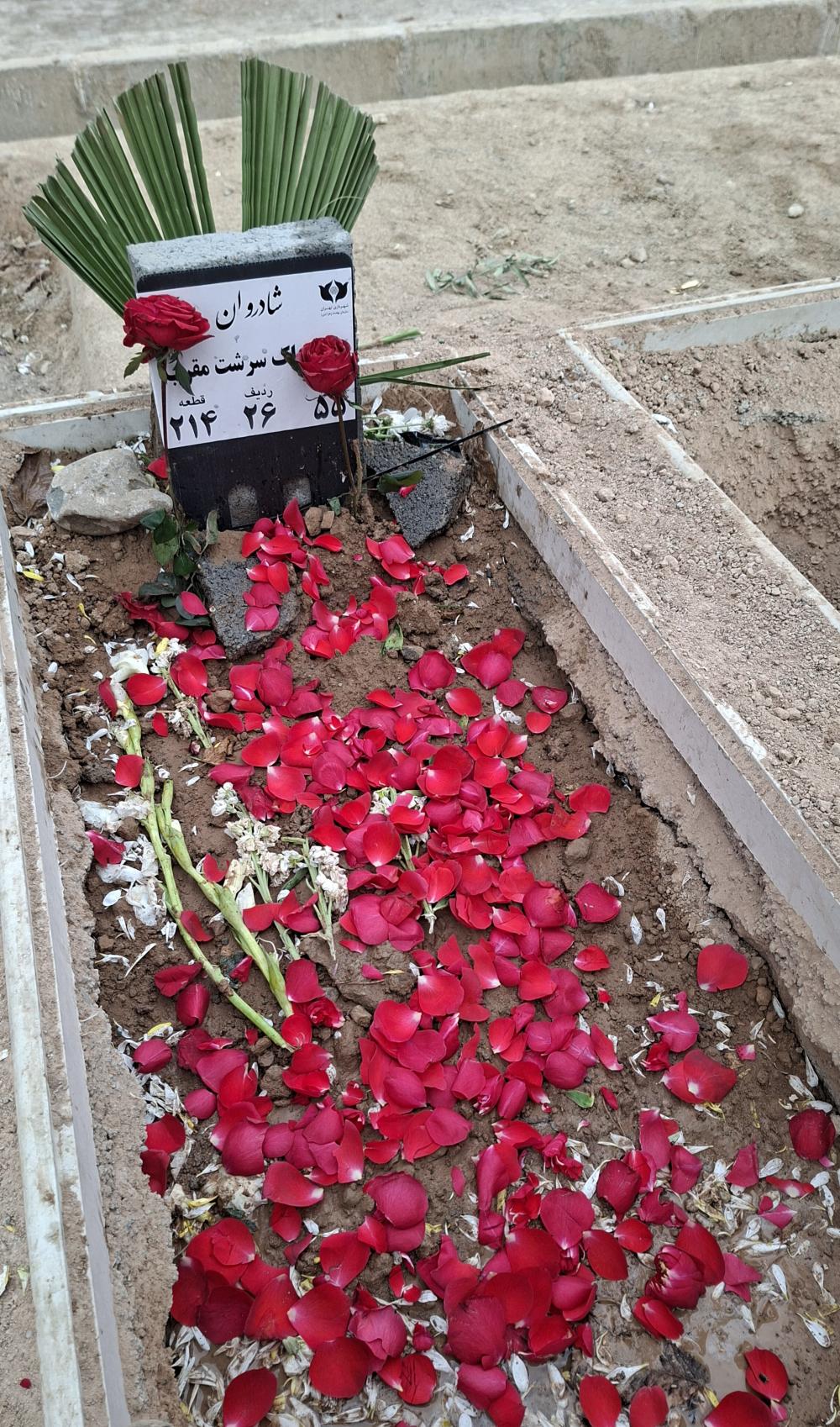 مریم پاک سرست مقرب