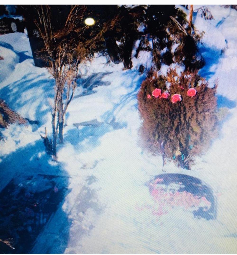 احمد صفرپور