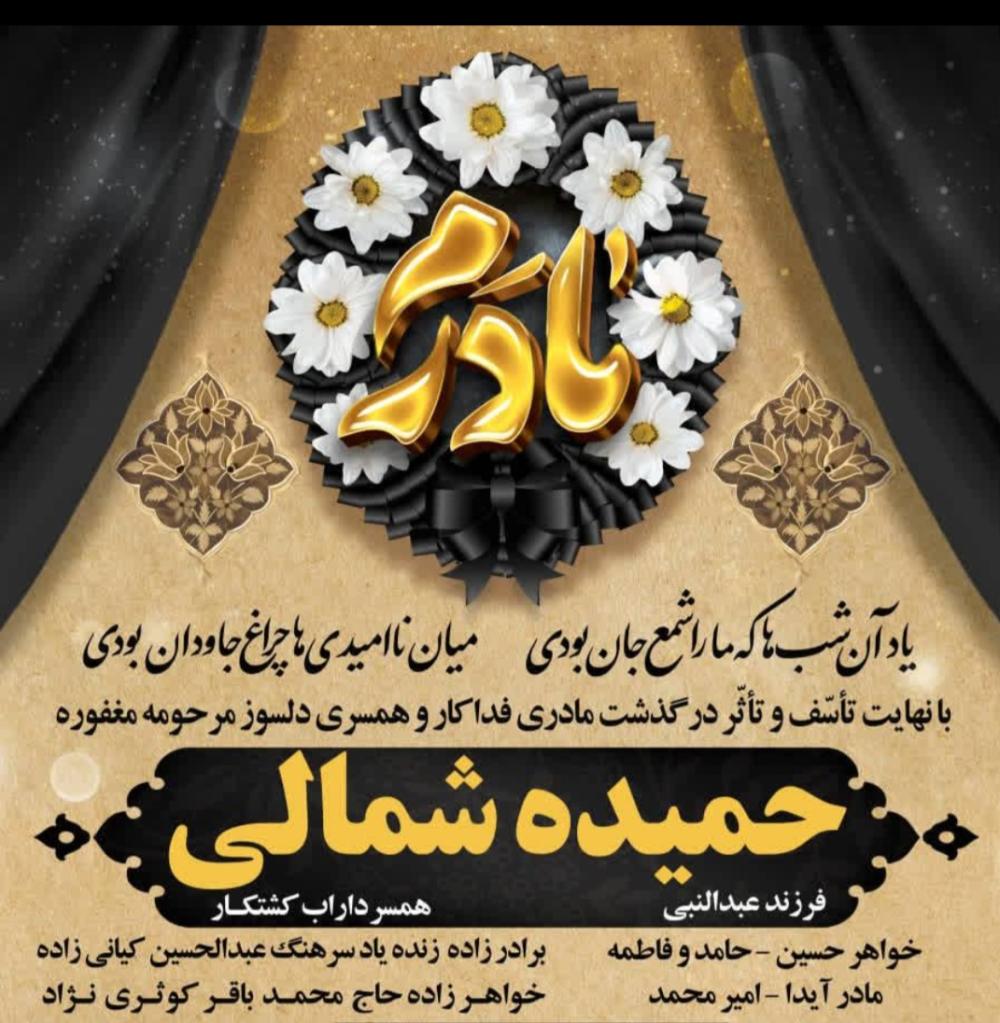 حمیده شمالی