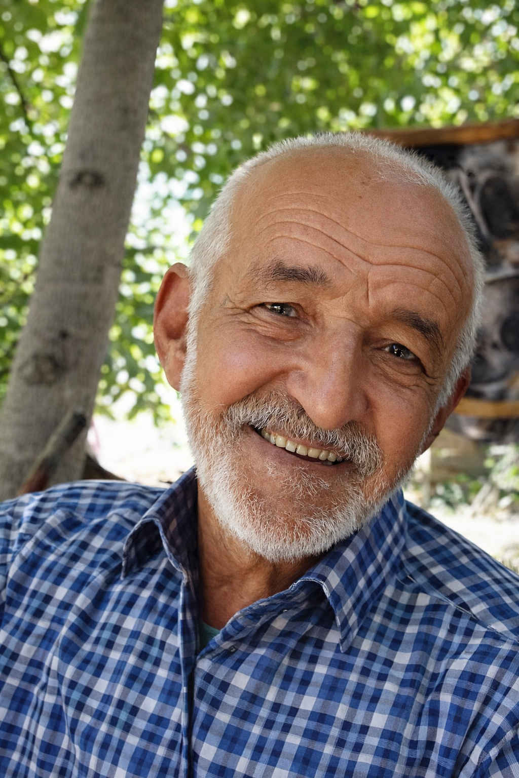 حاج علی اکبر امامی