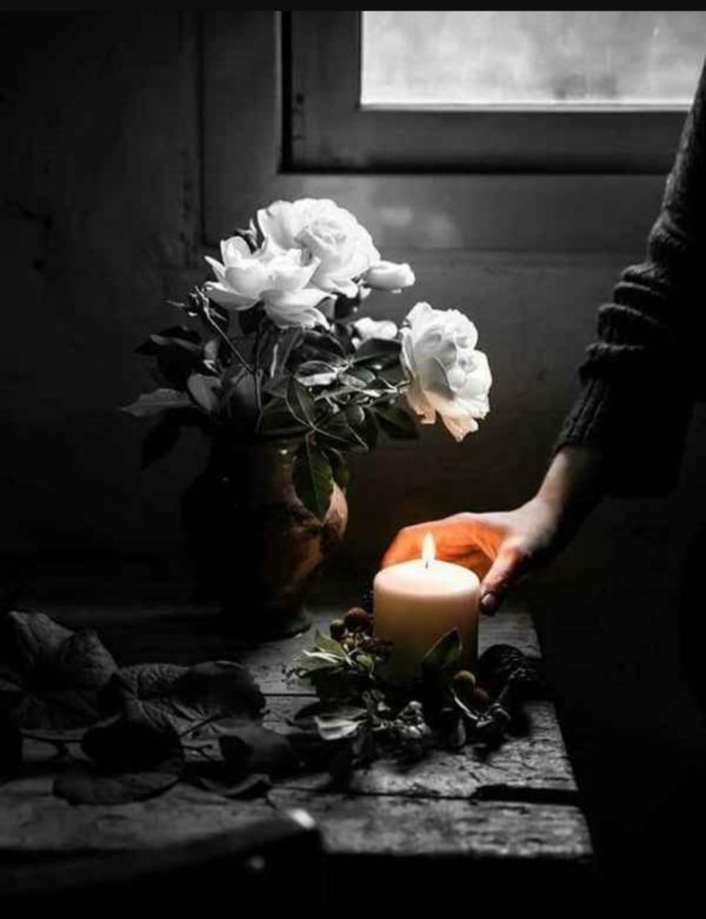 🤍رباب حسن نژاد🤍