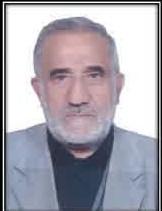 مرتضی رحیم لو