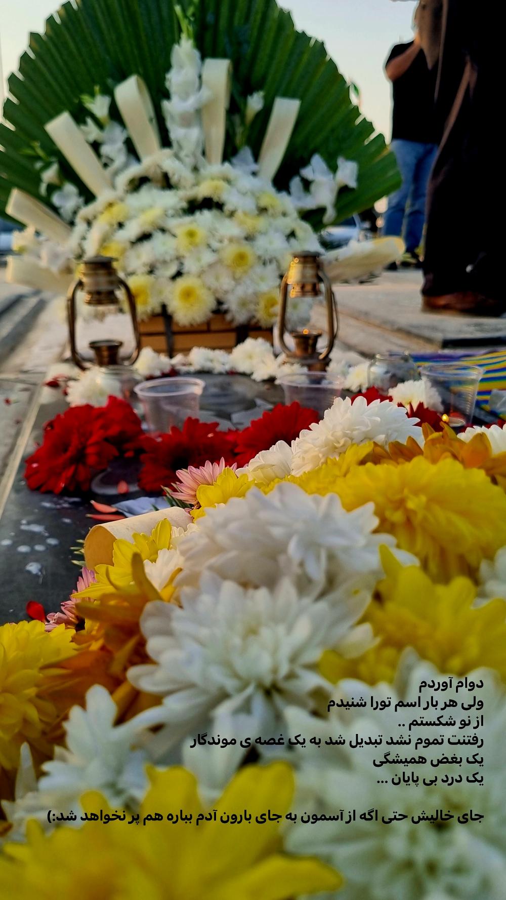 منوچهر عبادی اصل