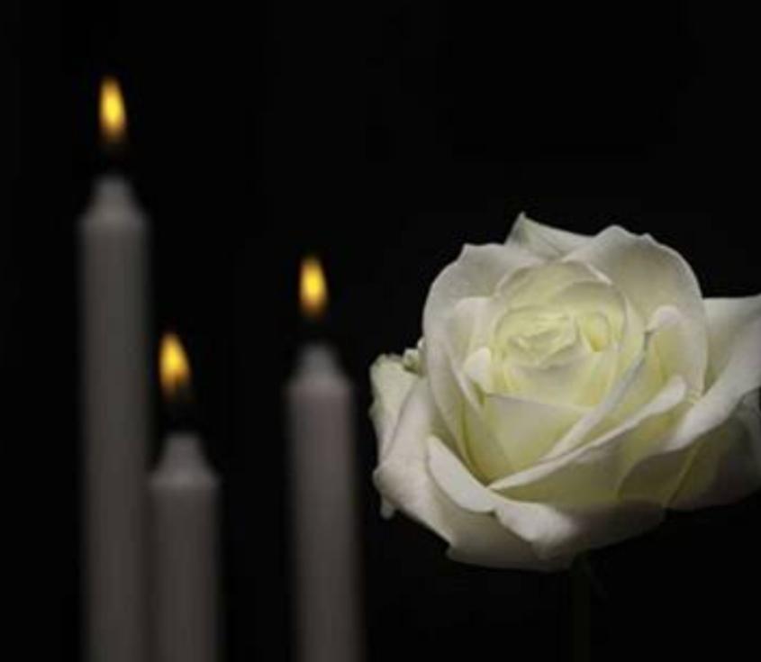 مریم یوسفی هاوستین