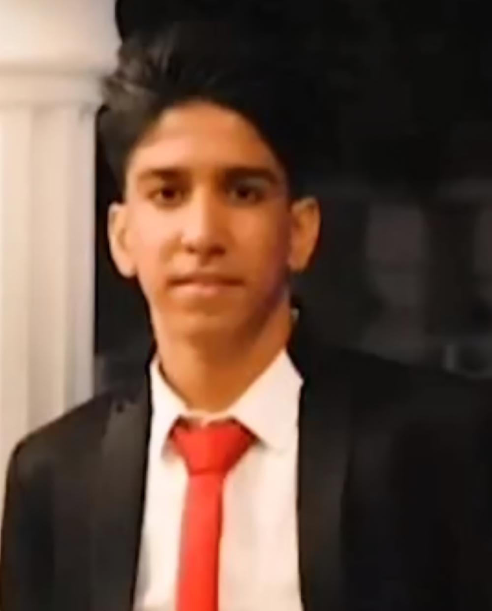 محمدپارسا مهرپویان