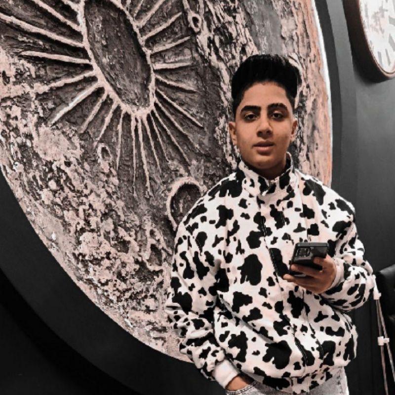 محمد امین مهماندار طرقی