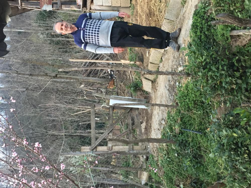 حیات الله قنبرپور