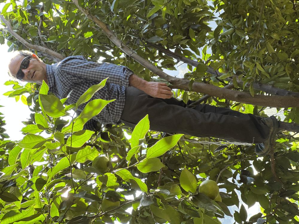 حیات الله قنبرپور