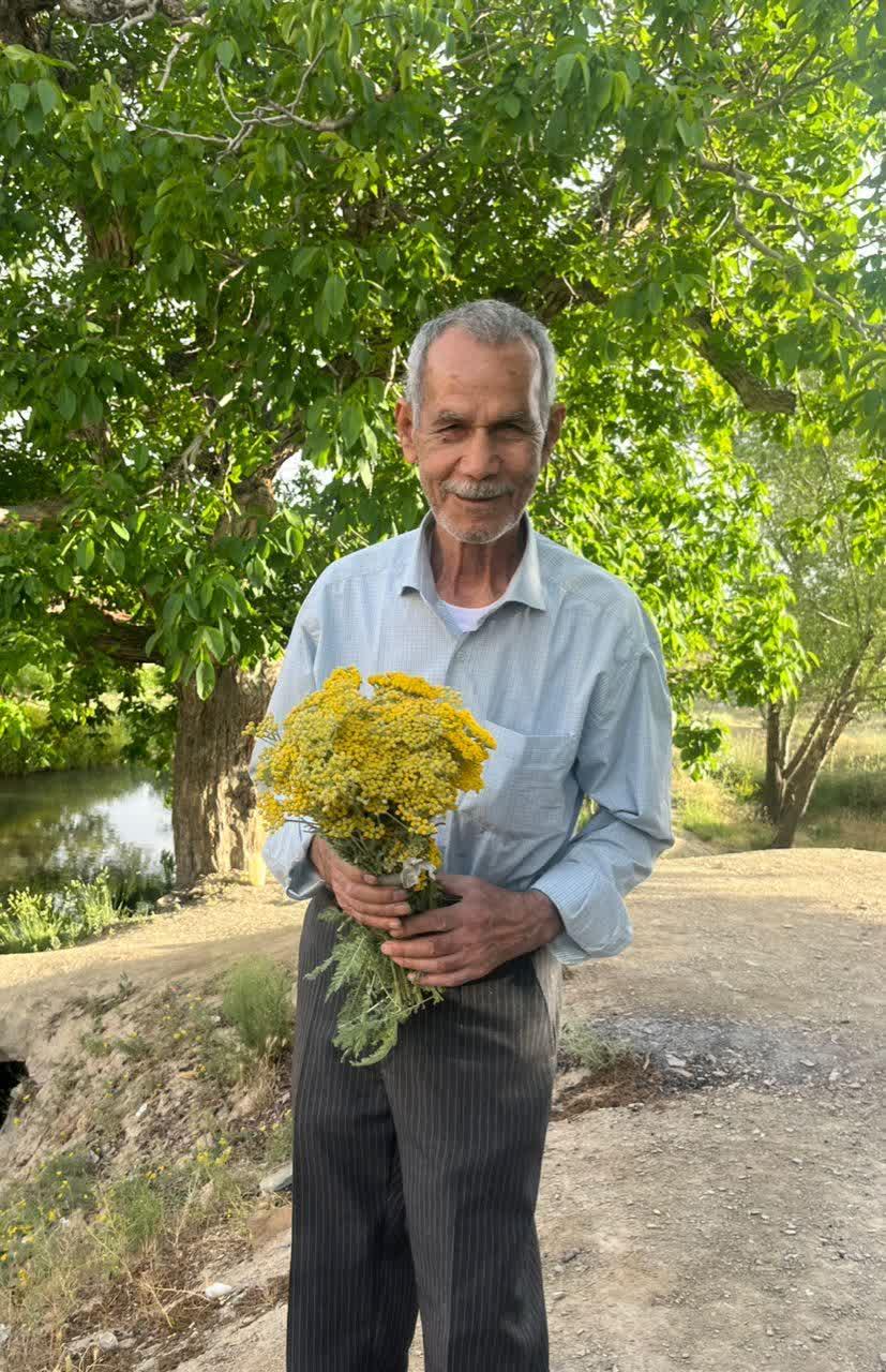 مرتضی مواشی