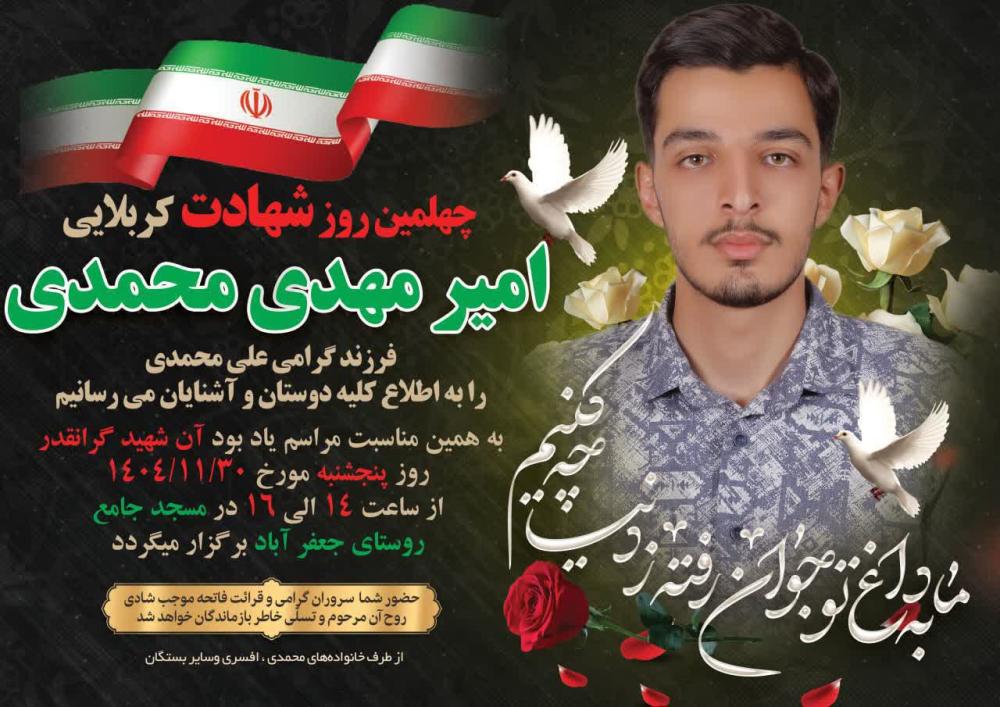 امیر مهدی محمدی