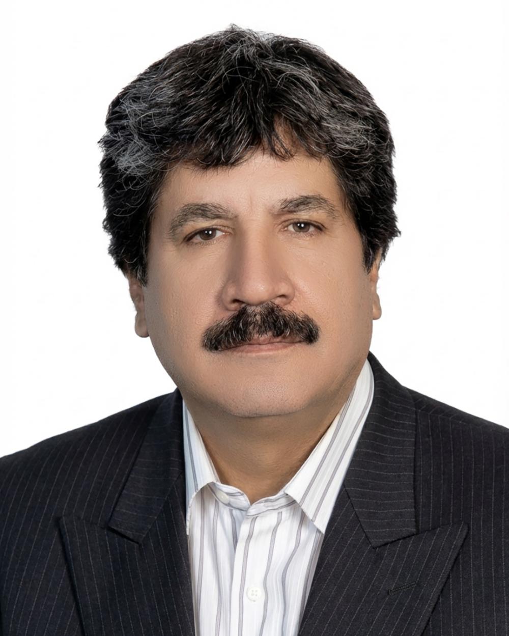 حمیدرضا فیض آبادی