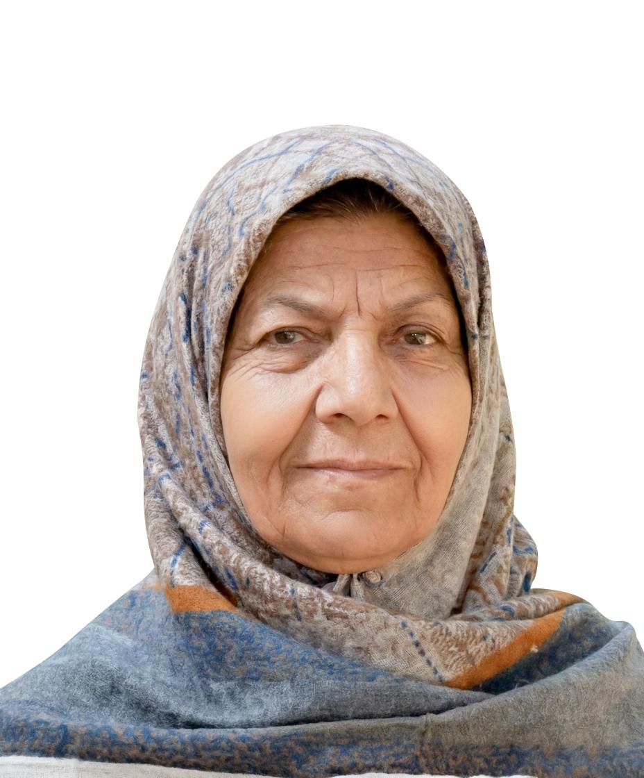 اشرف افضلی پورفریدونی