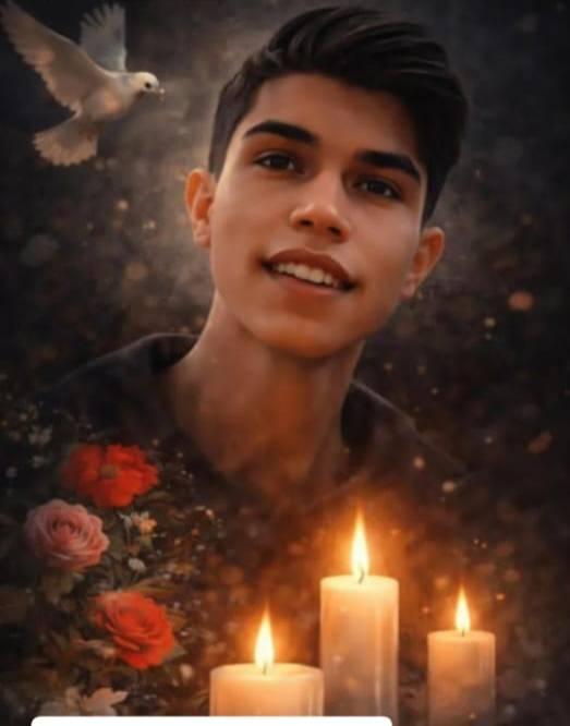 پارسا اصلانی