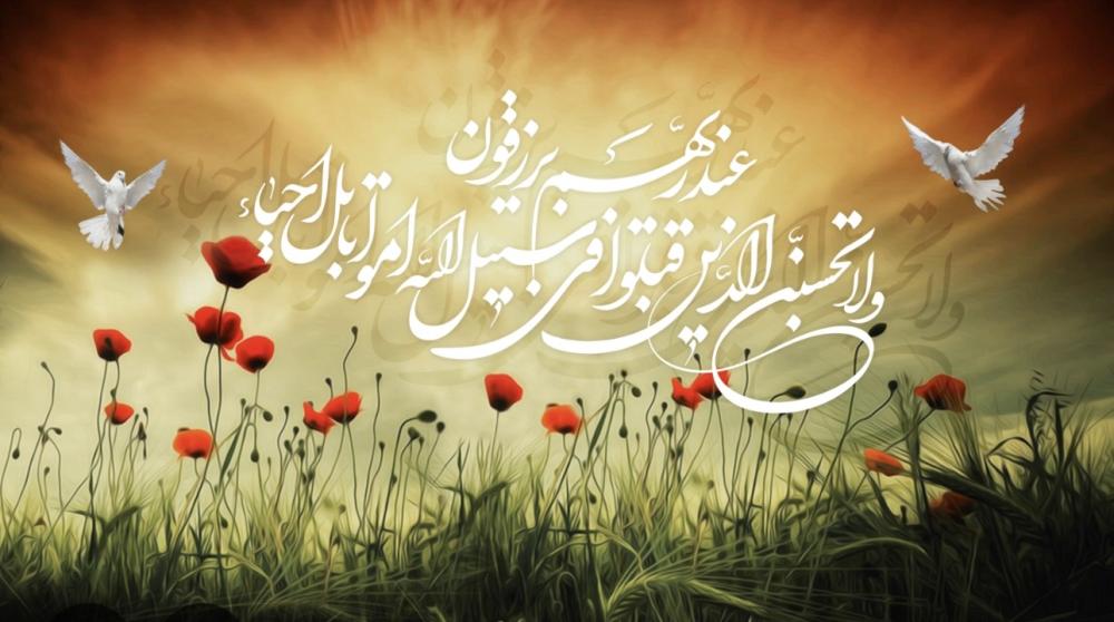 شهید امیر حسین اسدیان