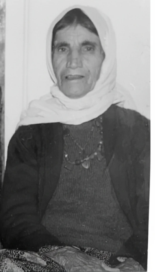 حاج بی بی جمالی